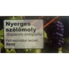 Kép 2/2 - Reagron Nyerges szőlőmoly alapcsapda