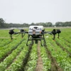 Kép 4/4 - DJI Agras T10 drón