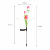 Kép 3/4 - Leszúrható szolár virág - RGB LED - 70 cm - 2 db / csomag