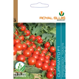 ROYAL CURRANTO F1 PARADICSOM
