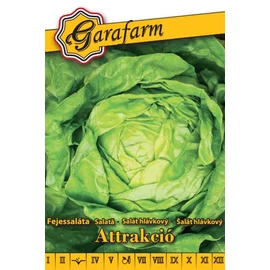 Garafarm zöldség Attrakció fejessaláta 2g
