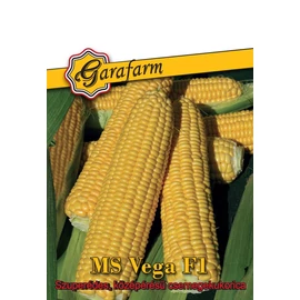 Garafarm csemege kukorica MS vega F1 25szem