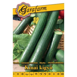 Garafarm zöldség Kínai kigyóuborka