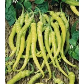 "Persenk" Hegyes-erős paprika vetőmag