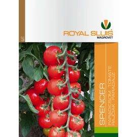 ROYAL SPENCER PARADICSOM
