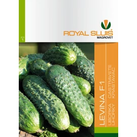 ROYAL LEVINA F1 UBORKA