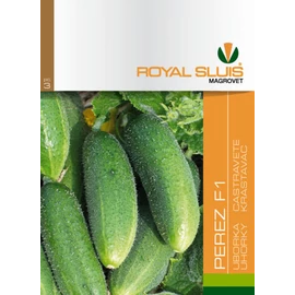 ROYAL PEREZ F1 UBORKA