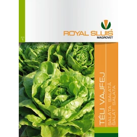 ROYAL TÉLI VAJFEJ SALÁTA