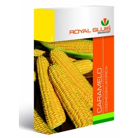 ROYAL CARAMELO KUKORICA 100szem