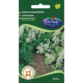 Konyhakömény (Carum Carvi)