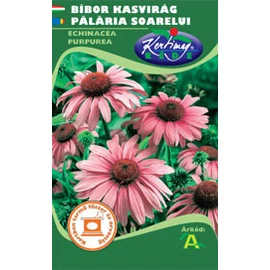 Bíbor kasvirág (Echinacea purpurea)