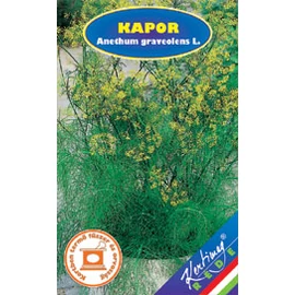Kapor (Anethum graveolens)