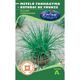 Metélő fokhagyma (Allium tuberosum)