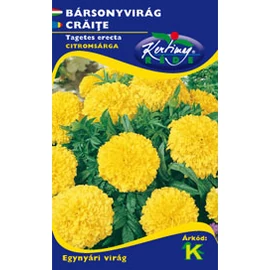 Bársonyvirág (büdöske) - citromsárga