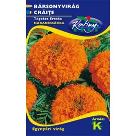 Bársonyvirág (büdöske) - narancssárga