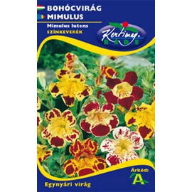 Bohócvirág