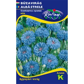Búzavirág