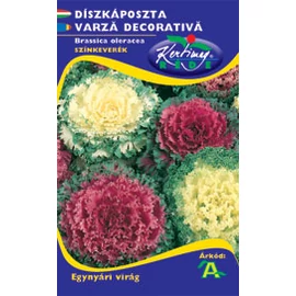 Díszkáposzta