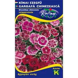 Kínai szegfű
