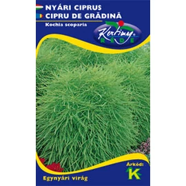 Nyári ciprus