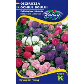 Őszirózsa - törpe bokros színkeverék