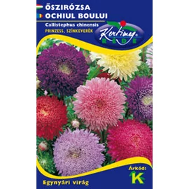Őszirózsa - Prinzess színkeverék