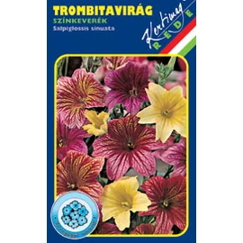 Trombitavirág - színkeverék