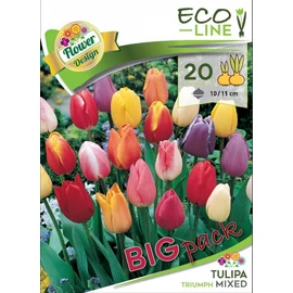 Triumph tulipán mix 20 db - színkeverék