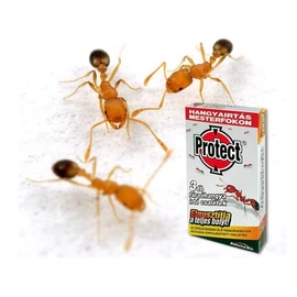 PROTECT® fáraóhangya irtó csalétek 3*2,5g