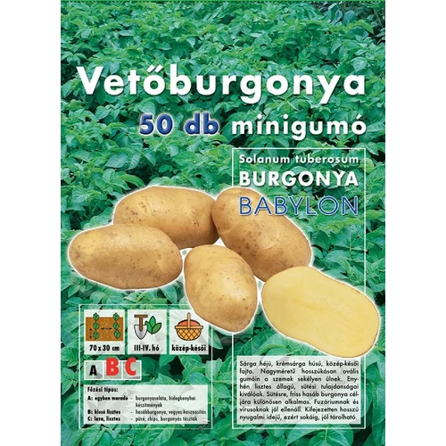 BABYLON VETŐBURGONYA 50DB