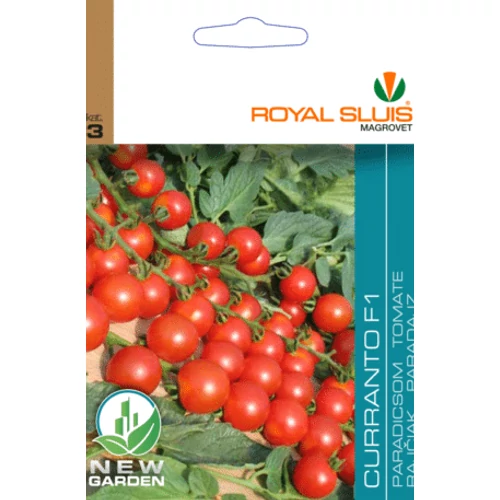 ROYAL CURRANTO F1 PARADICSOM