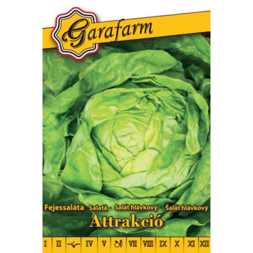 Garafarm zöldség Attrakció fejessaláta 2g