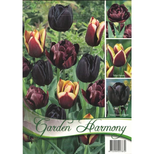 Garden Harmony tulipán hagyma kollekció - fekete 3x5db