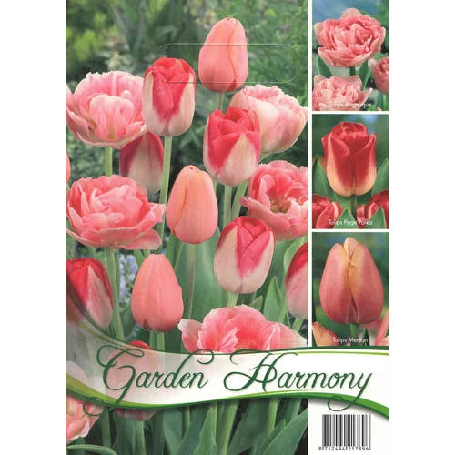 Garden Harmony tulipán hagyma kollekció - rózsaszín