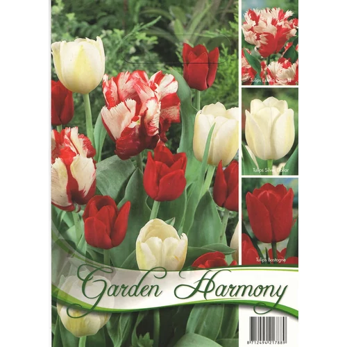 Garden Harmony tulipán hagyma kollekció - fehér/piros 3X5db