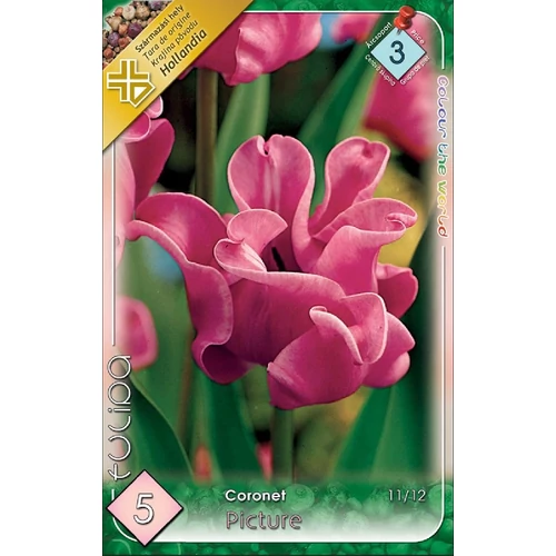 Coronet Picture Tulipán - 5 db