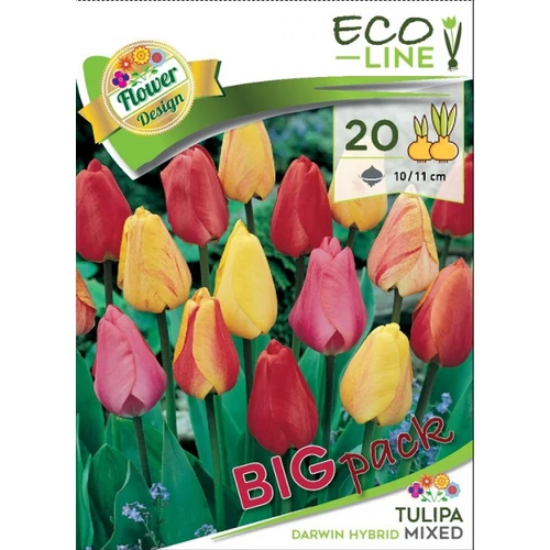 Darwin Hybrid tulipán mix 20 db - színkeverék