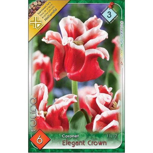Elegant Crown Coronet Tulipán - 6 db