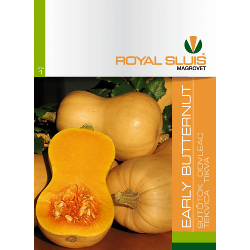 ROYAL EARLY BUTTERNUT TÖK