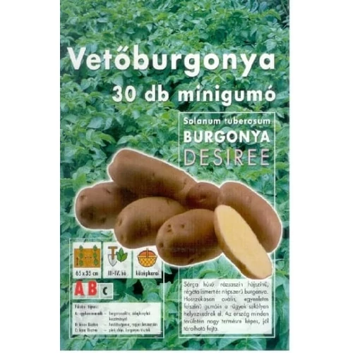 DESIREE VETŐBURGONYA 50DB