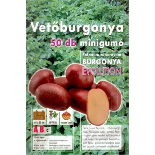 EVOLUTION VETŐBURGONYA 50DB