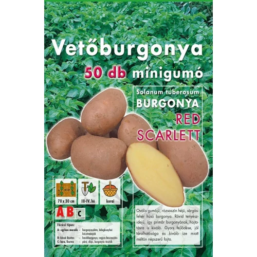 RED SCARLETT VETŐBURGONYA 50DB