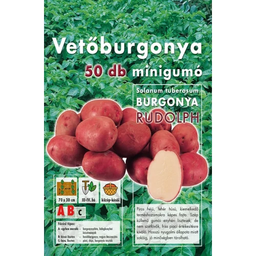 RUDOLPH VETŐBURGONYA 50DB