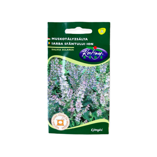 Muskotályzsálya (Salvia sclarea)