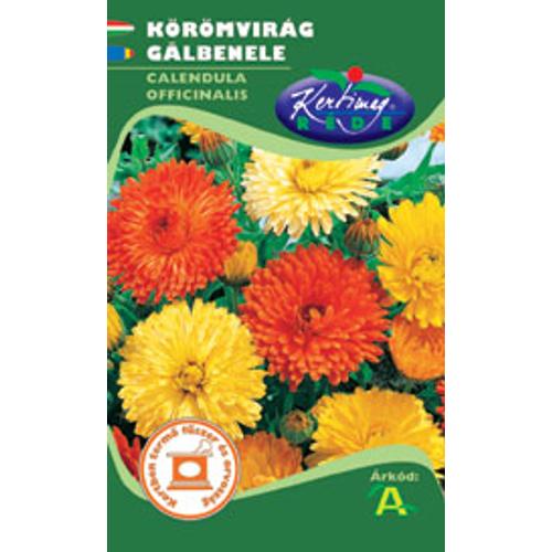 Körömvirág (Calendula officinalis)
