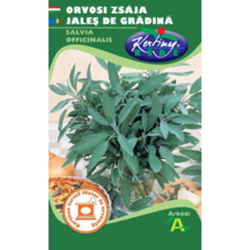 Orvosi zsálya (Salvia officinalis)