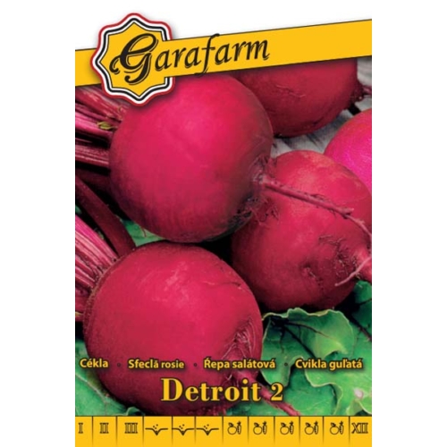 Garafarm Detroit 2 cékla