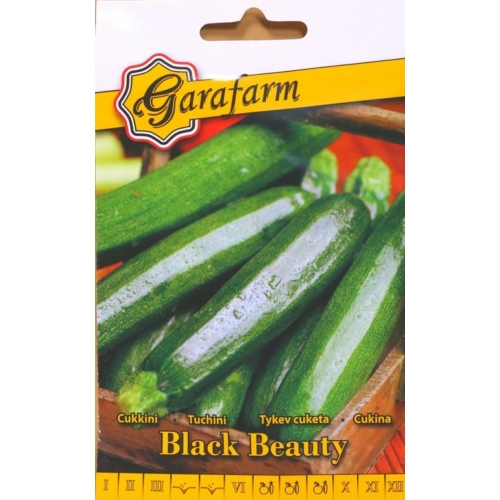 Garafarm Black Beauty cukkini