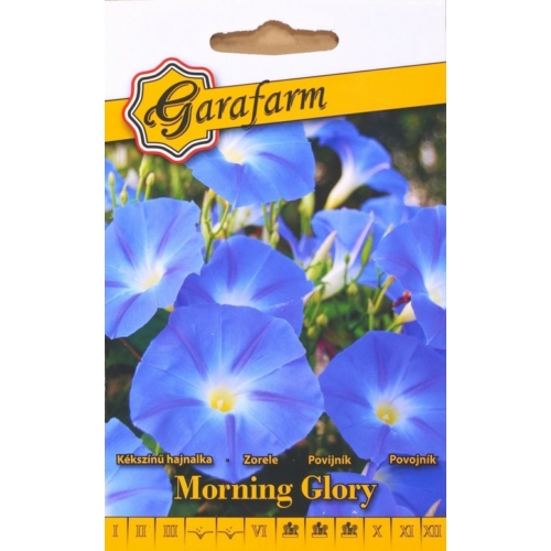 Garafarm Hajnalka, kékszínű /Morning Glory/