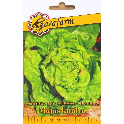 Garafarm Május királya fejessaláta